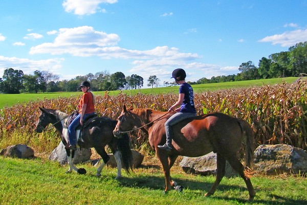 Horseback Riders