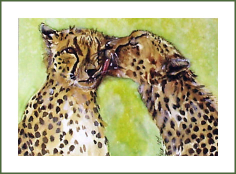 Kitty Love