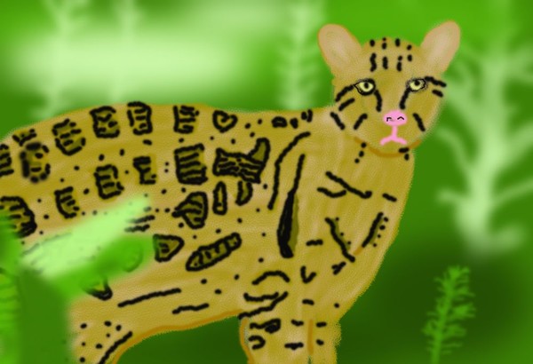 O423 Ocelot in the Grass