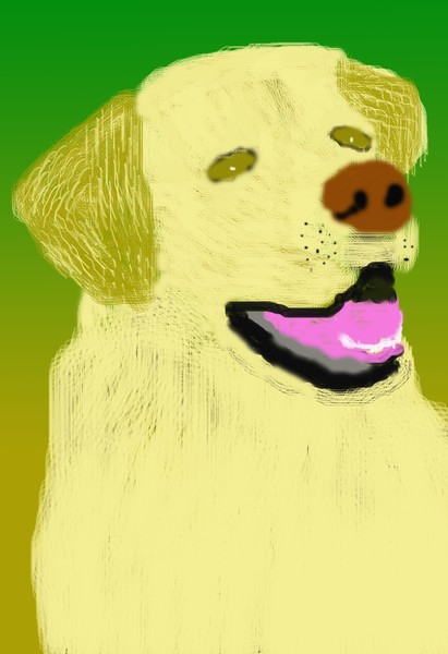 Golden Lab O571