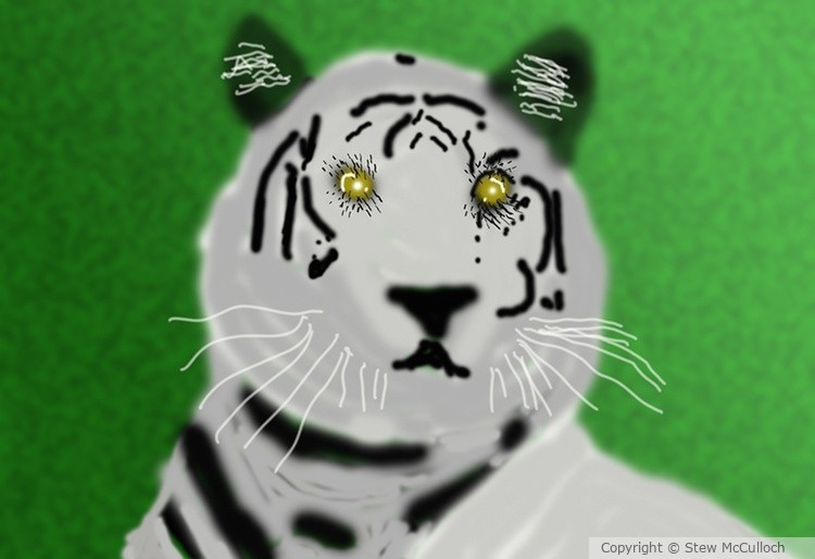 Siberian Tiger  P257