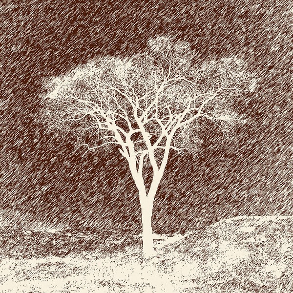 Treescape 2