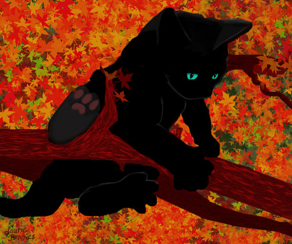Autumn Adventure