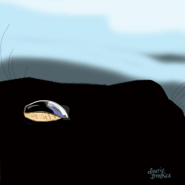 Catseye