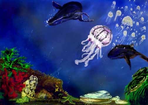 Deep water life