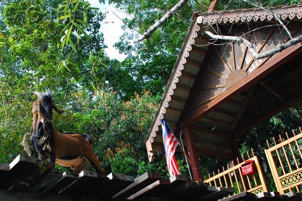 Billy goat on the bridge