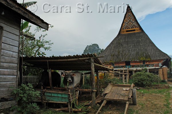 Village Longhouse