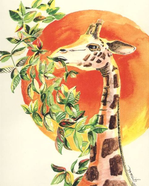 Giraffe