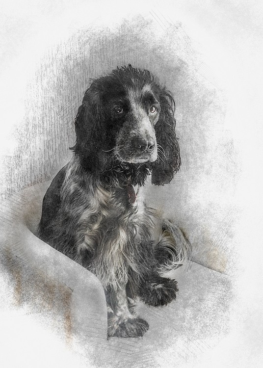 skye