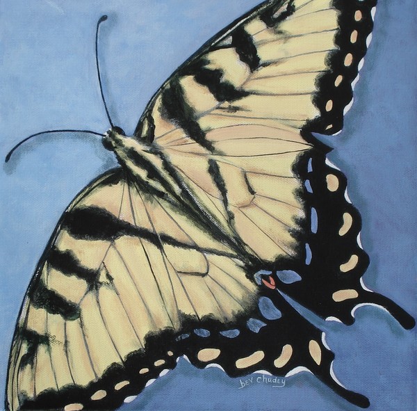 Swallowtail
