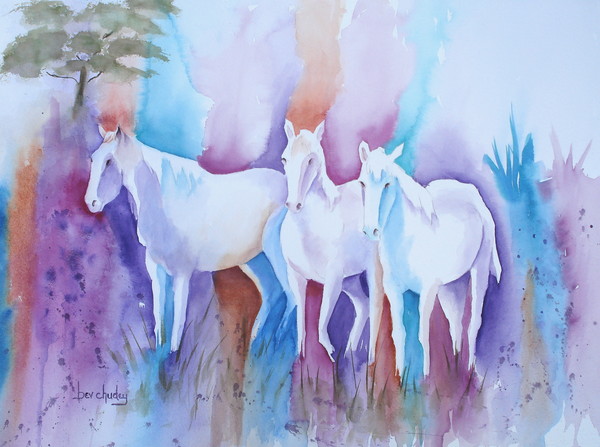 Wild Horses of the Calamarough