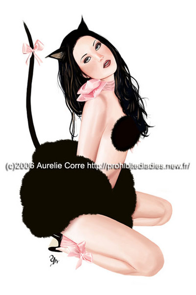 Black cat