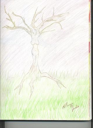 Lady Willow