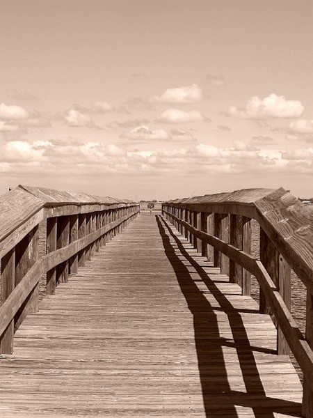 Walk This Way