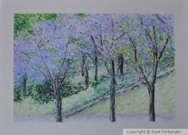 Jacarandá