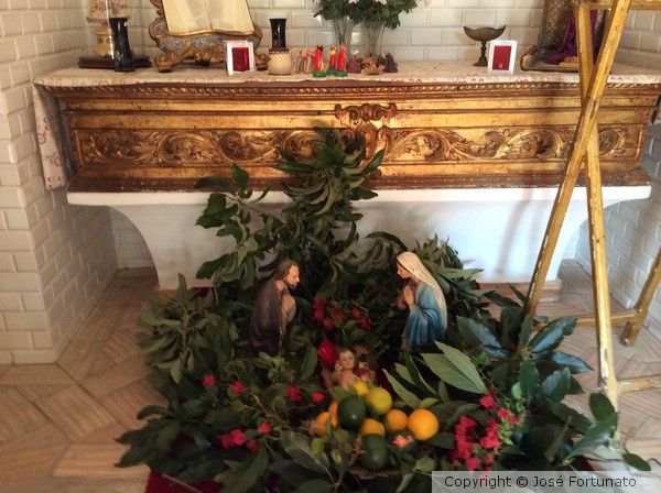 Joyeux Noel