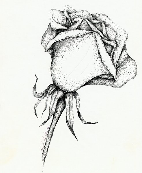 The Rose