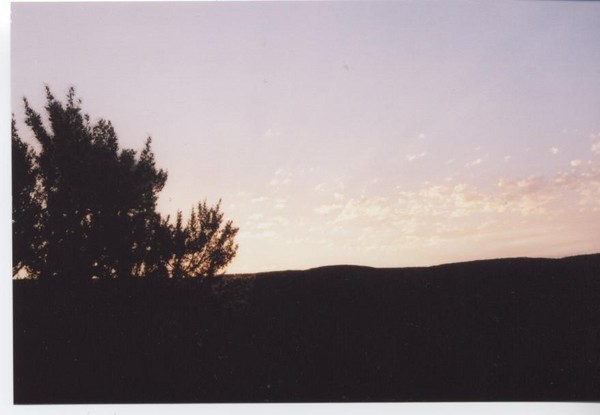 Black Sunset