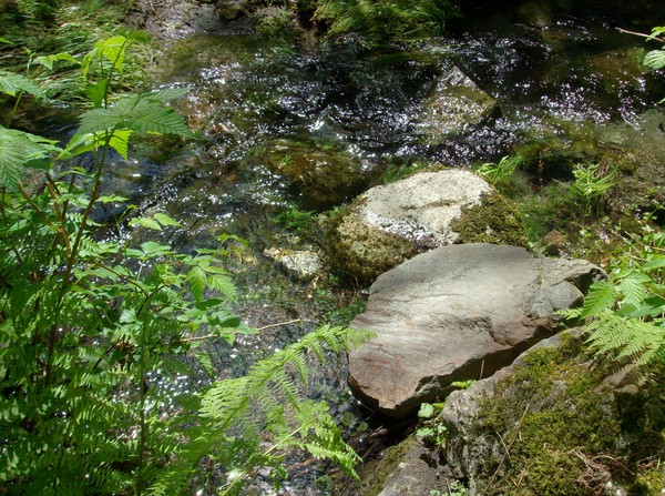 Stepping Stones