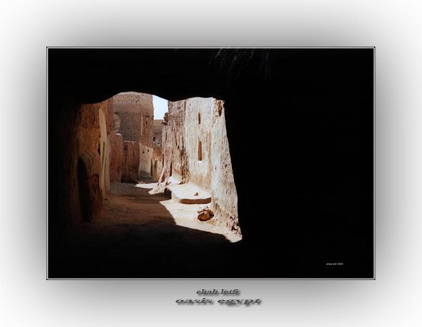 oasis egypt (1)