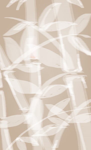 Bamboo