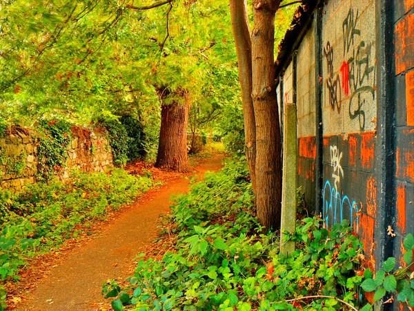 Footpath near Cross Elms Lane.