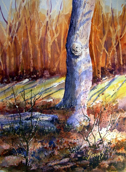 Autumn Woods