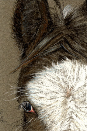 Gypsy Connor, Close Up