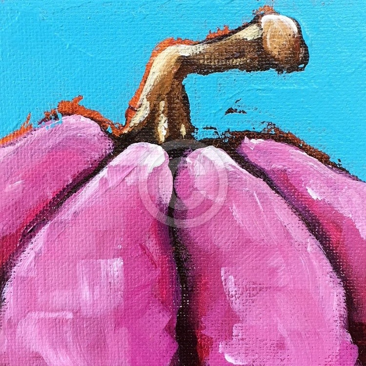 Pink Pumpkin