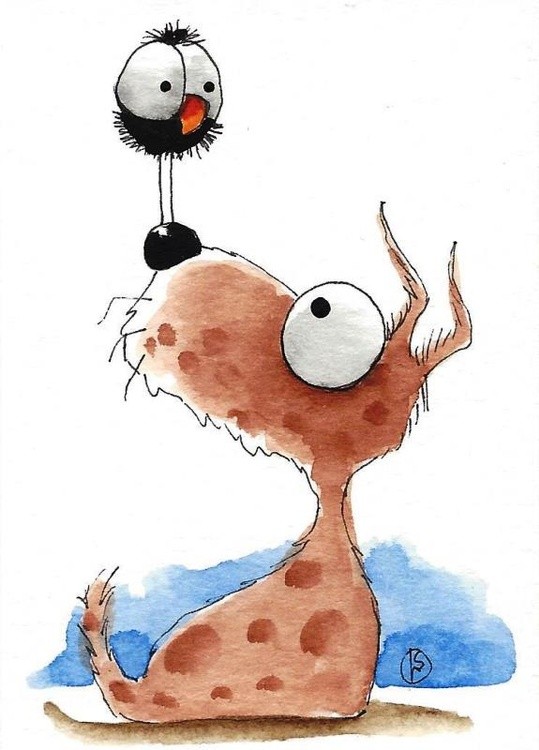 An odd perch