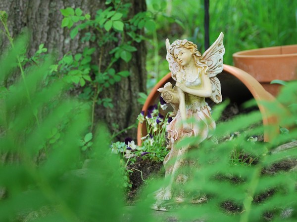 Fairy Sighting