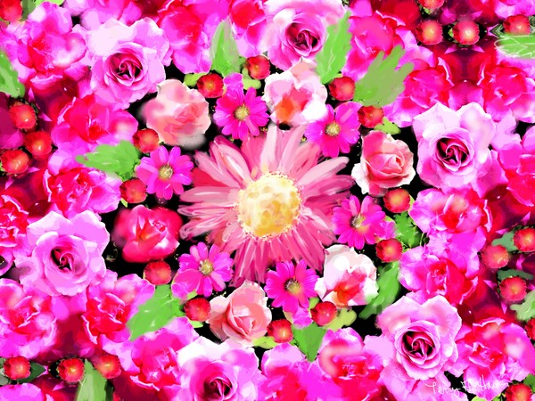 So Pink 