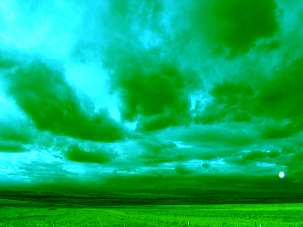 Campo Abierto