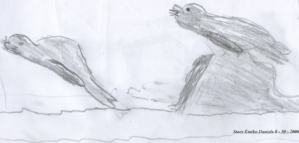 seals at play