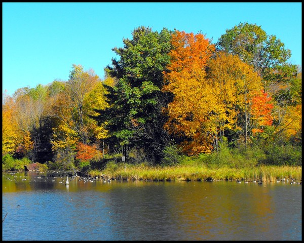 Autumn Glow