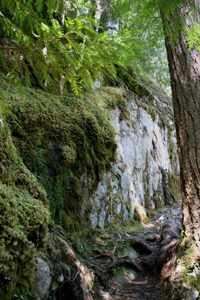 Trail Along the Rockface