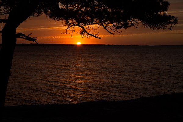 Maine Sunrise