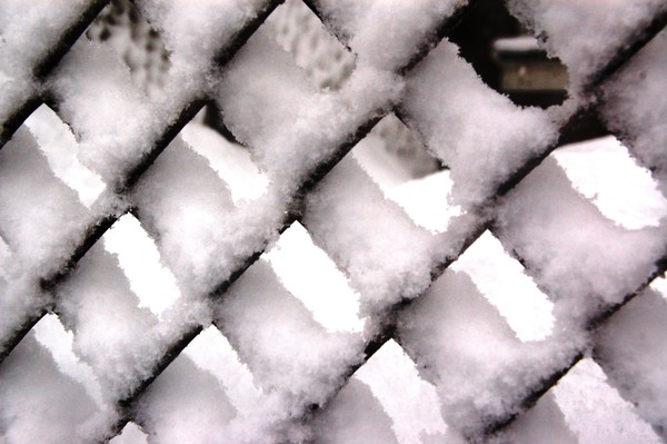 Blizzard of 2010