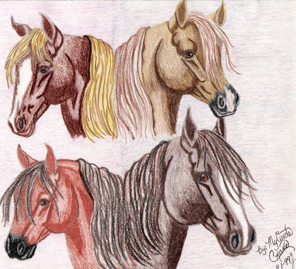 Quarter Horse Quartet