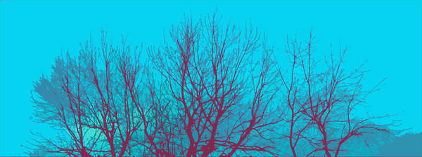 See the Trees