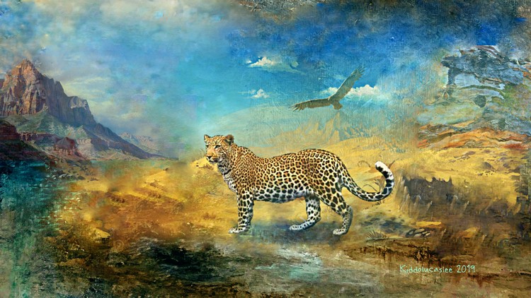 Isolated Wanderer *  2019 Kiddolucaslee
