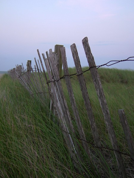 Weathered Fence