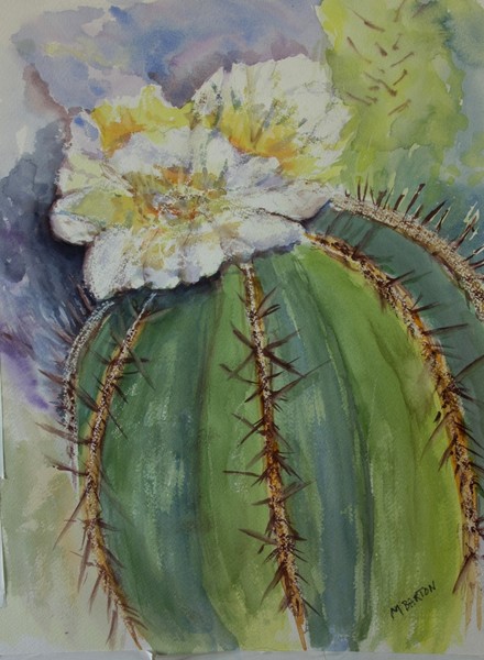Barrel Cactus