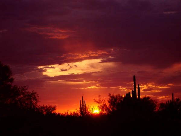 Fire sunset
