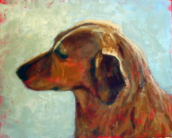 Dog Portrait 1