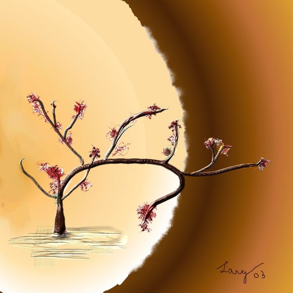 Japanese Maple