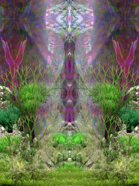 Cathedral Garden