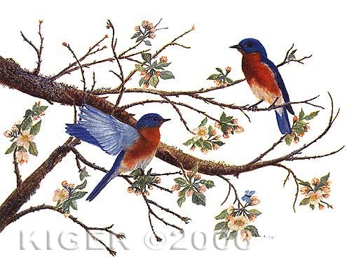 Bluebirds and apple blossoms