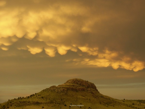 New Mexico Storm Brew