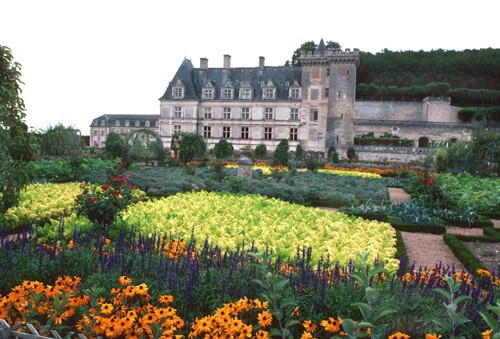 Gardens & CHateau of Villandry, Loire